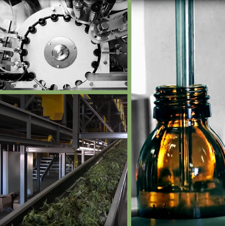 Hemp sellers - conveyor belt with hemp and extract bottle