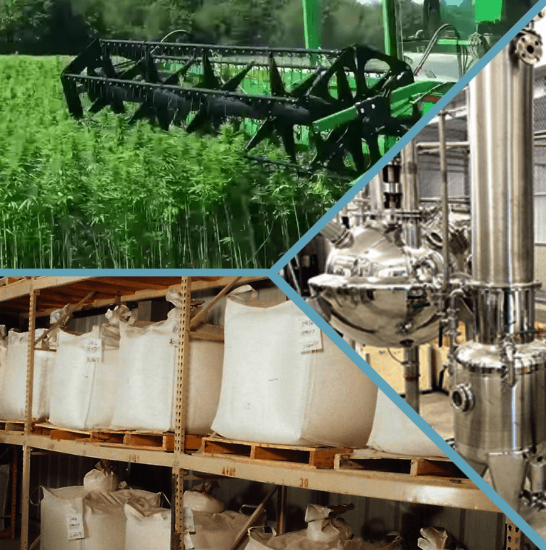 hemp field combine takedown, super sacs and extract machinery